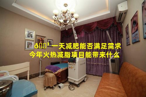 🐳 一天减肥能否满足需求今年火热减脂项目能带来什么
